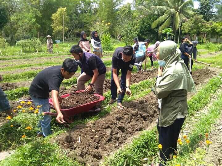 education in north sumatra