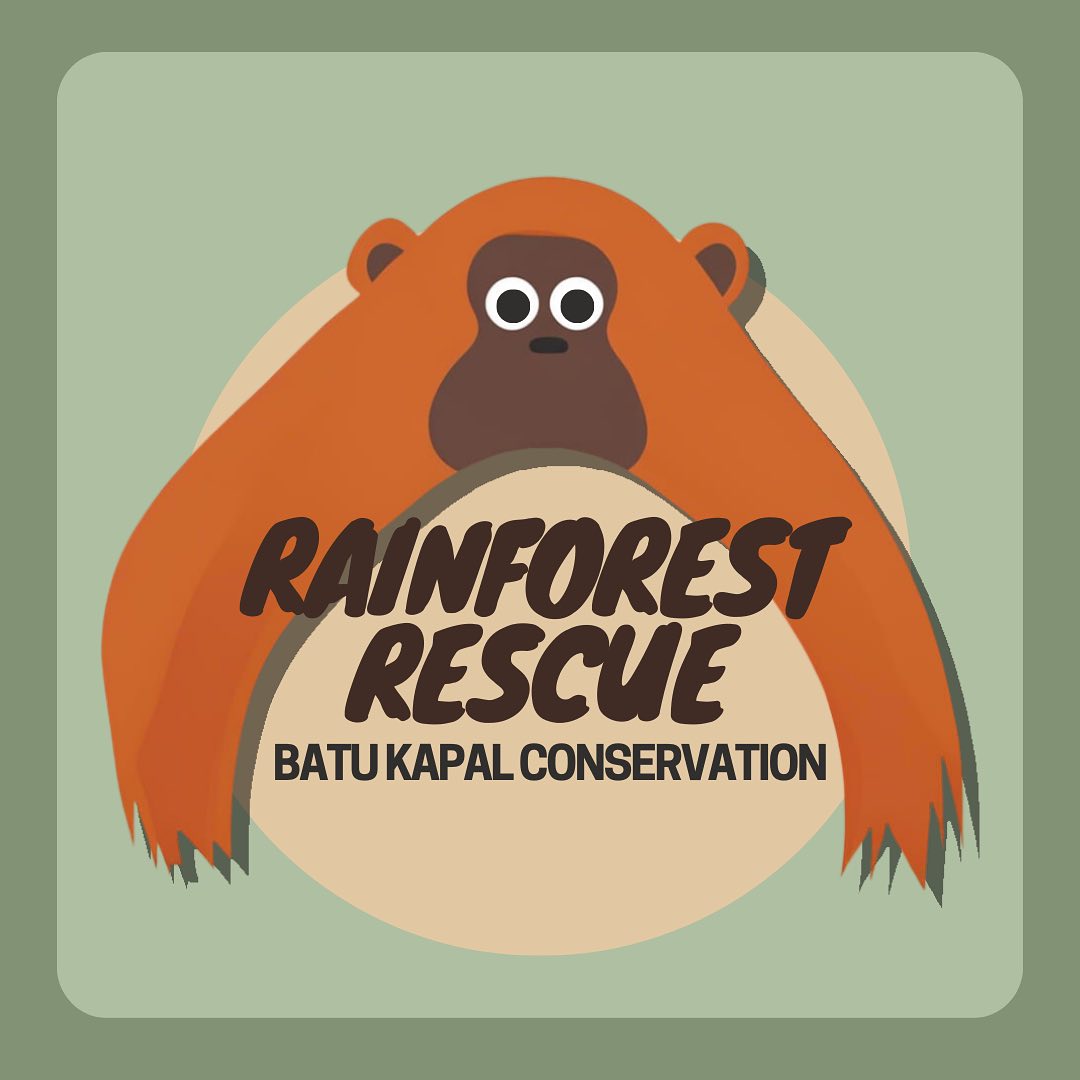 rainforest rescue