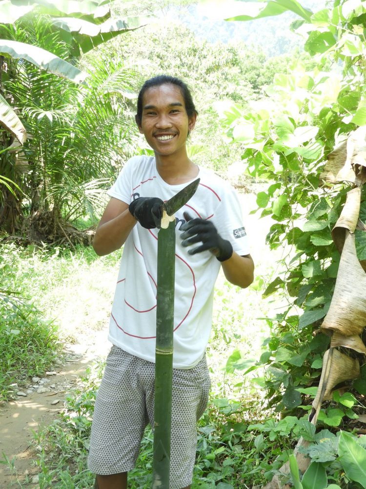 volunteer in Sumatra